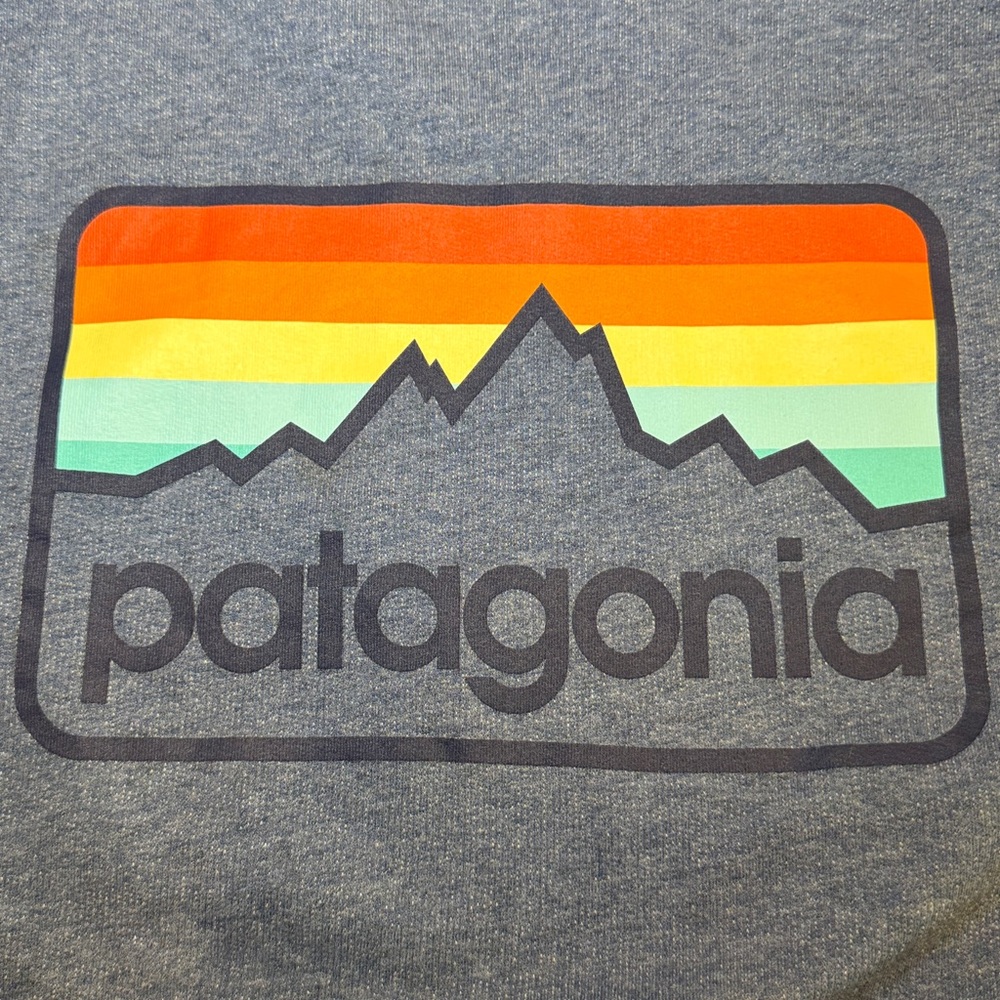 Patagonia Logo Hoodie Lightweight Organic Cotton Size Medium - Picture 5 of 5